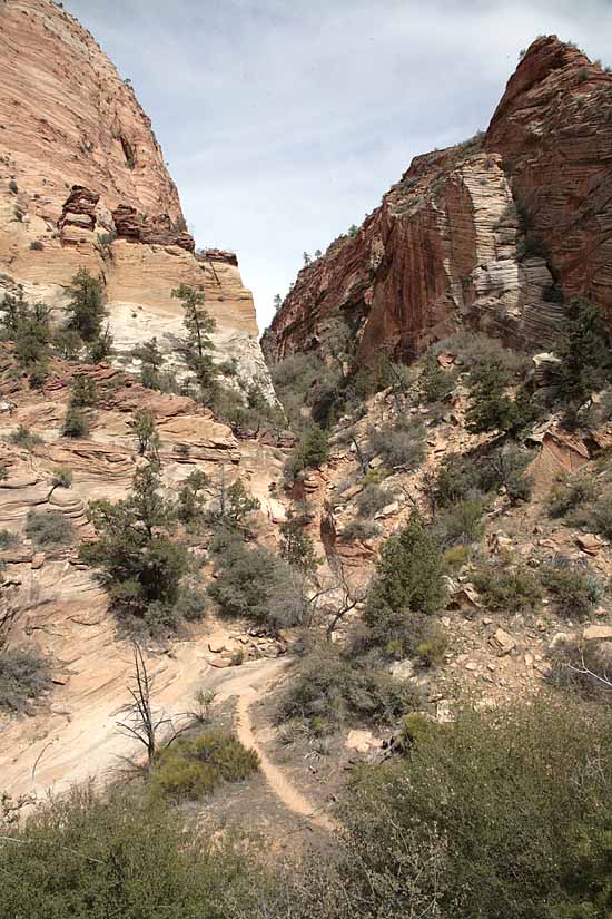 Eastern Entrance into Zion National Park