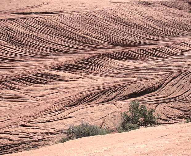 Petrified Dunes