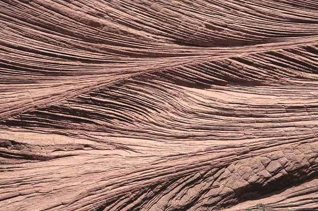 Petrified Dunes