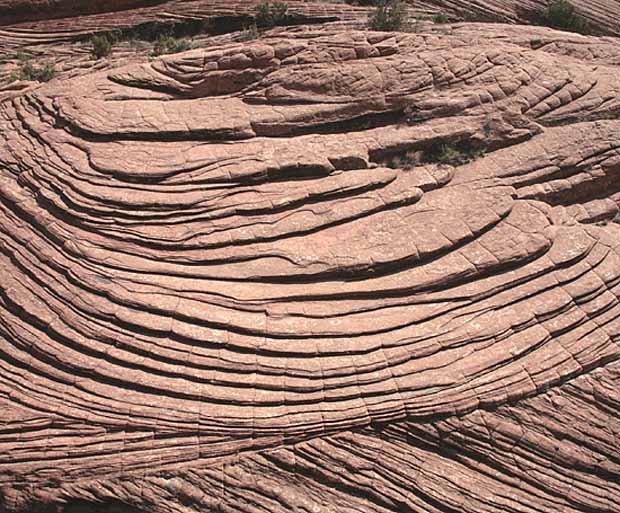 Petrified Dunes