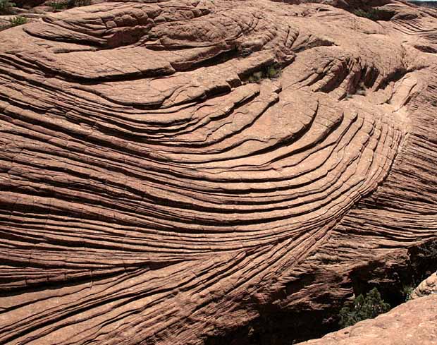 Petrified Dunes