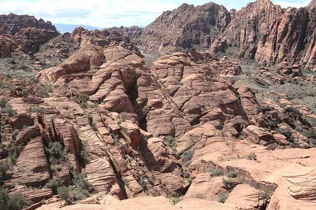 Petrified Dunes