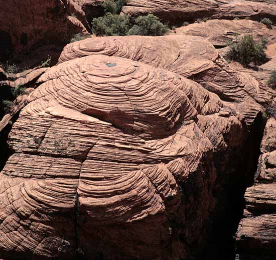 Petrified Dunes