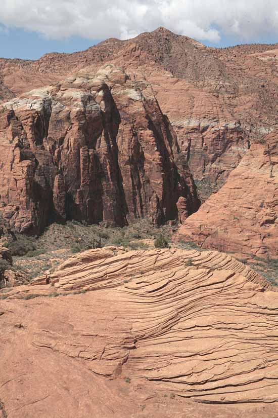 Petrified Dunes