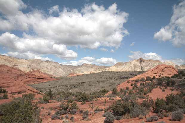 Petrified Dunes