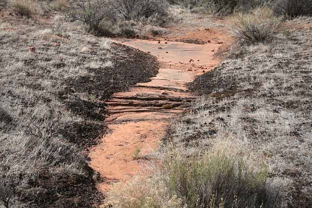 Hidden Pinyon Trail