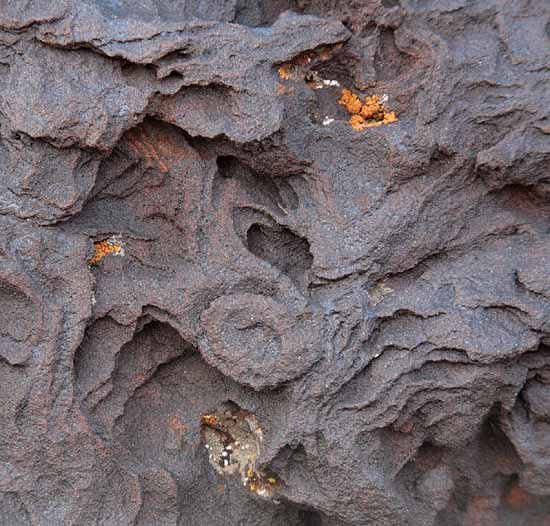 Hidden Pinyon Trail