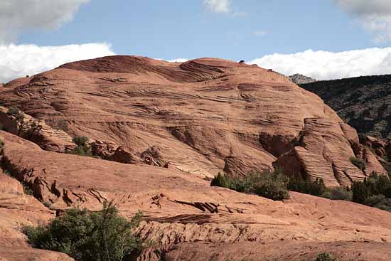 Hidden Pinyon Trail