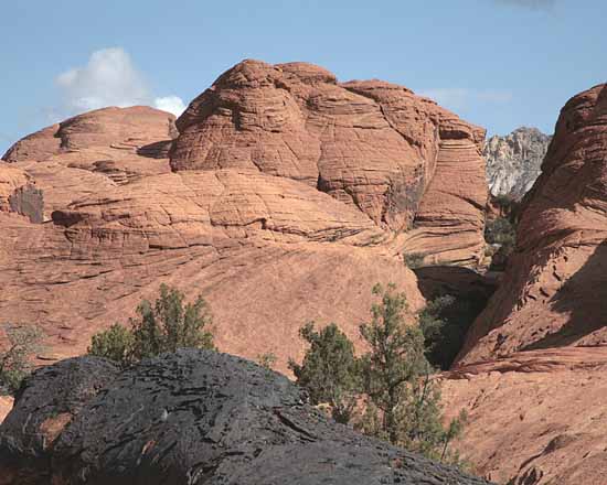 Hidden Pinyon Trail