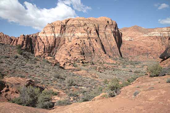 Hidden Pinyon Trail