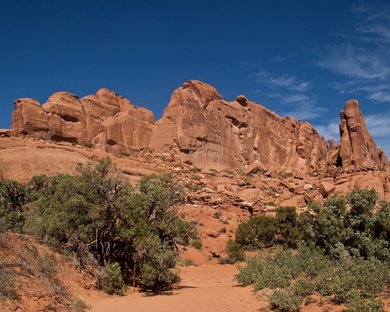 Tower Arch