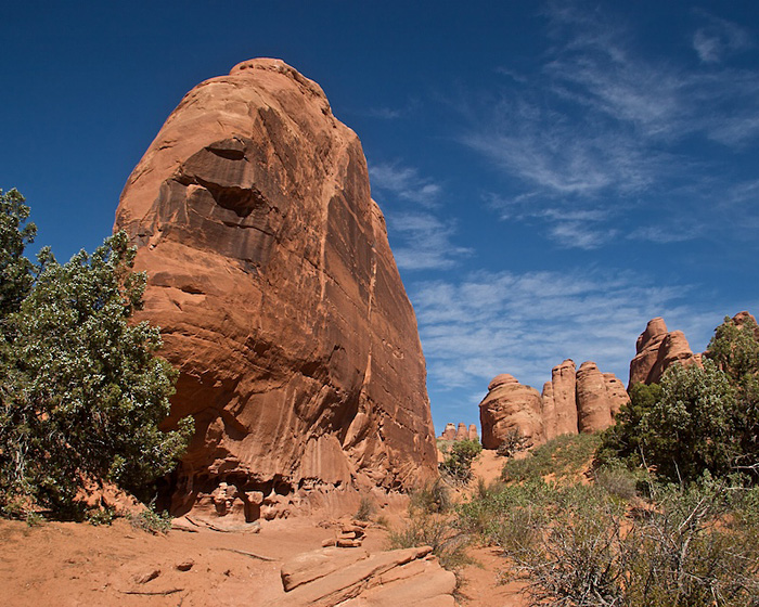 Tower Arch