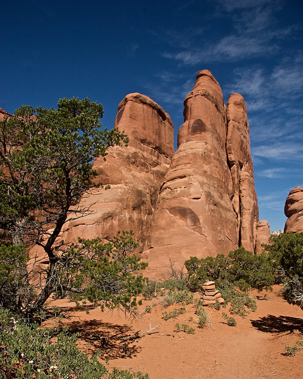 Tower Arch