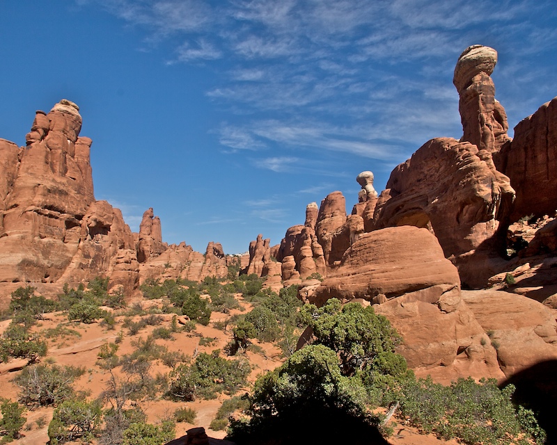 Tower Arch