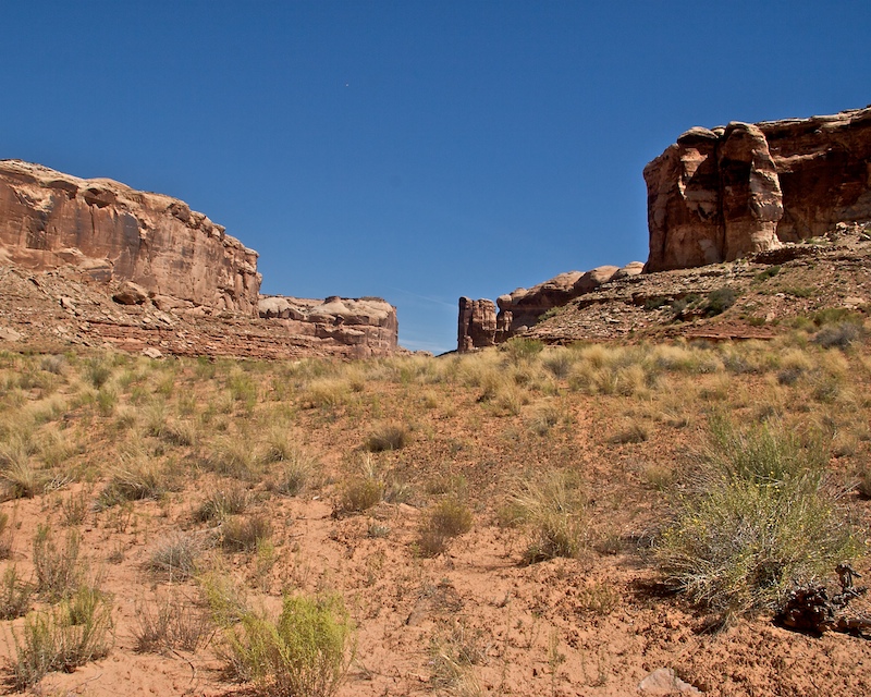 Horsehoe Canyon9