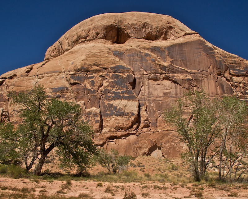 Horsehoe Canyon9