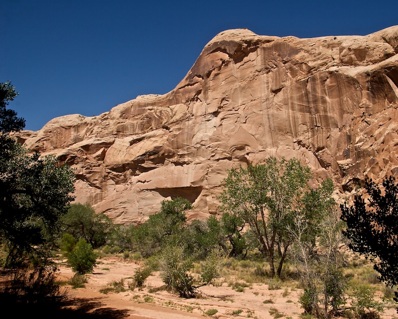 Horsehoe Canyon9