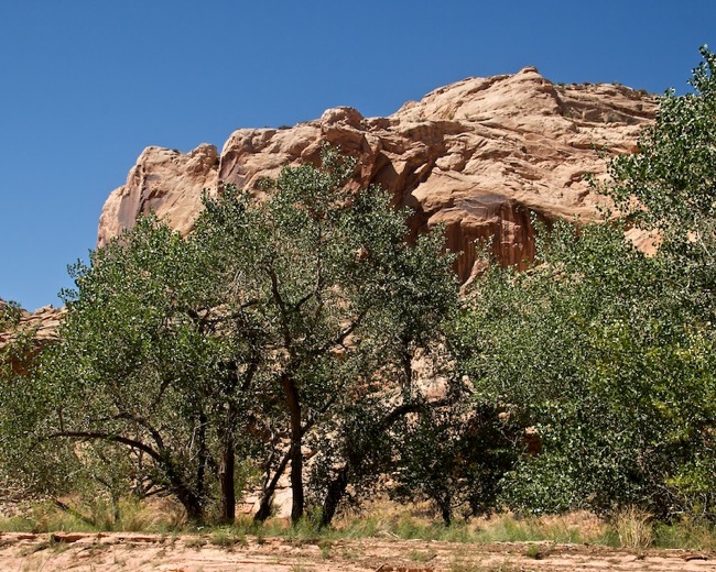 Horsehoe Canyon9