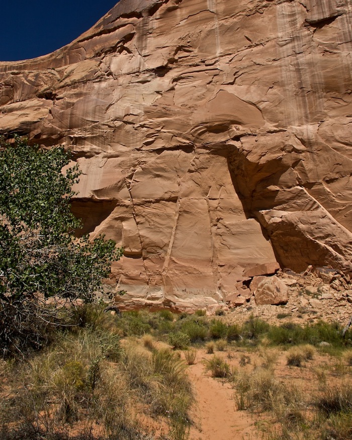 Horsehoe Canyon9