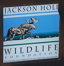 Jackson Hole