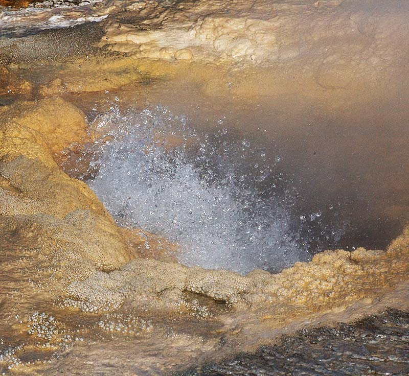 Yellowstone