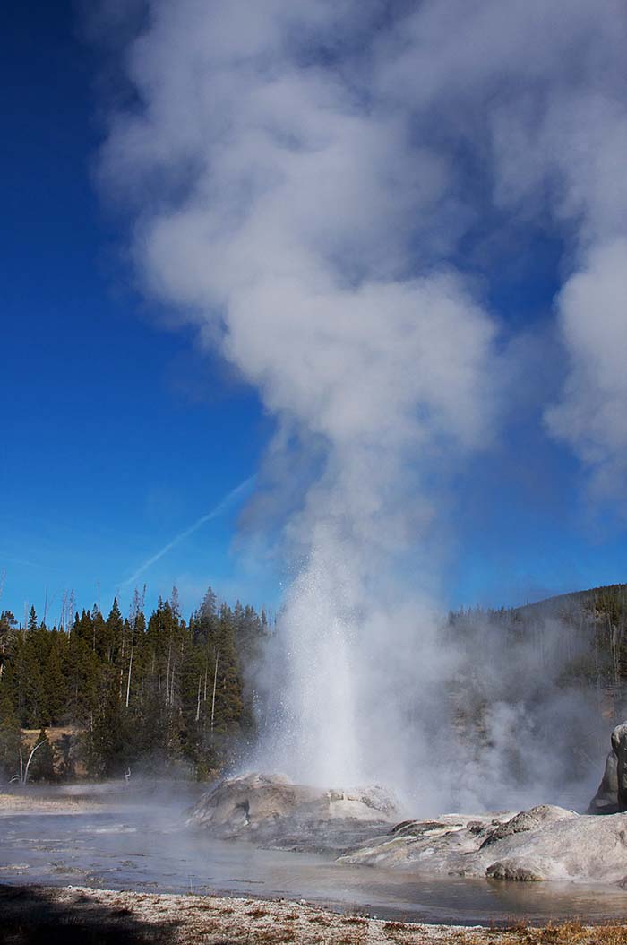 Yellowstone National Park