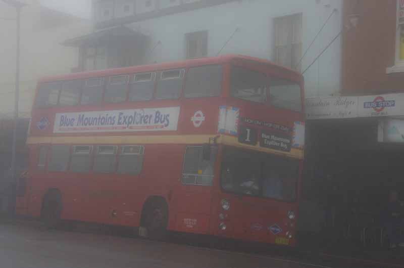 sightseeing bus