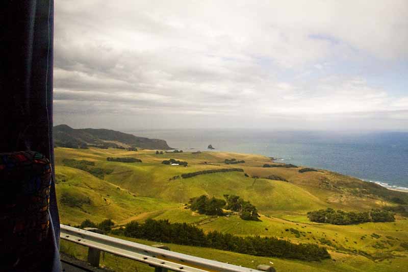 bus trip to penguin preserve