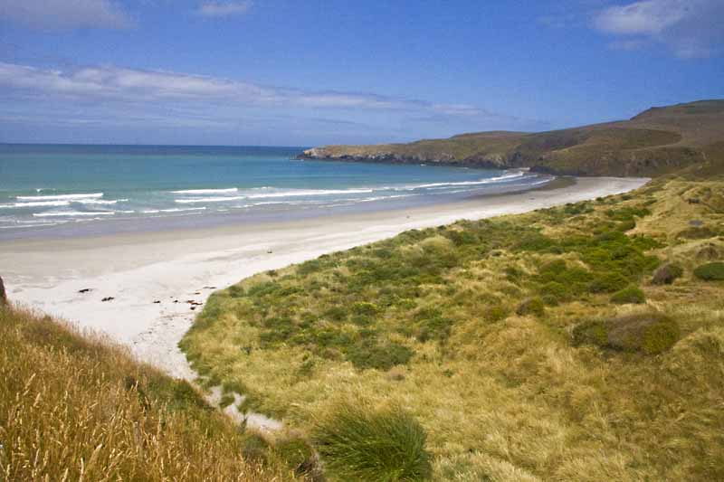 beach at penguin preserve